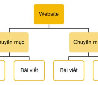 Category là gì trong WordPress? Phân biệt giữa Category và Tag