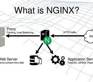Nginx Là Gì? Kiến Thức Tổng Quan Về Web Server Ngnix